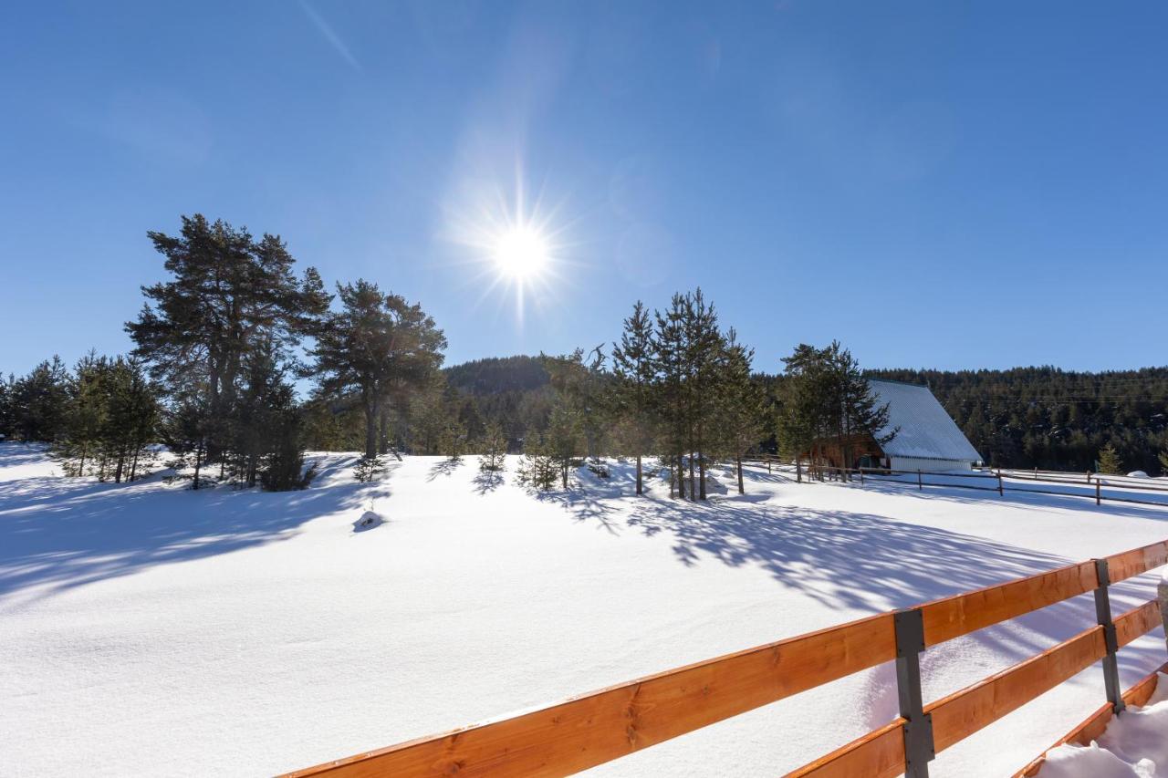 Vila Hanovi Zabljak Žabljak Exterior foto