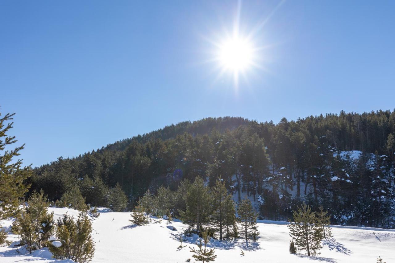 Vila Hanovi Zabljak Žabljak Exterior foto